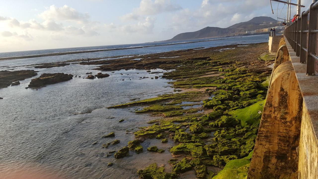 Vcv Marta Canteras Beach Las Palmas de Gran Canaria Zewnętrze zdjęcie